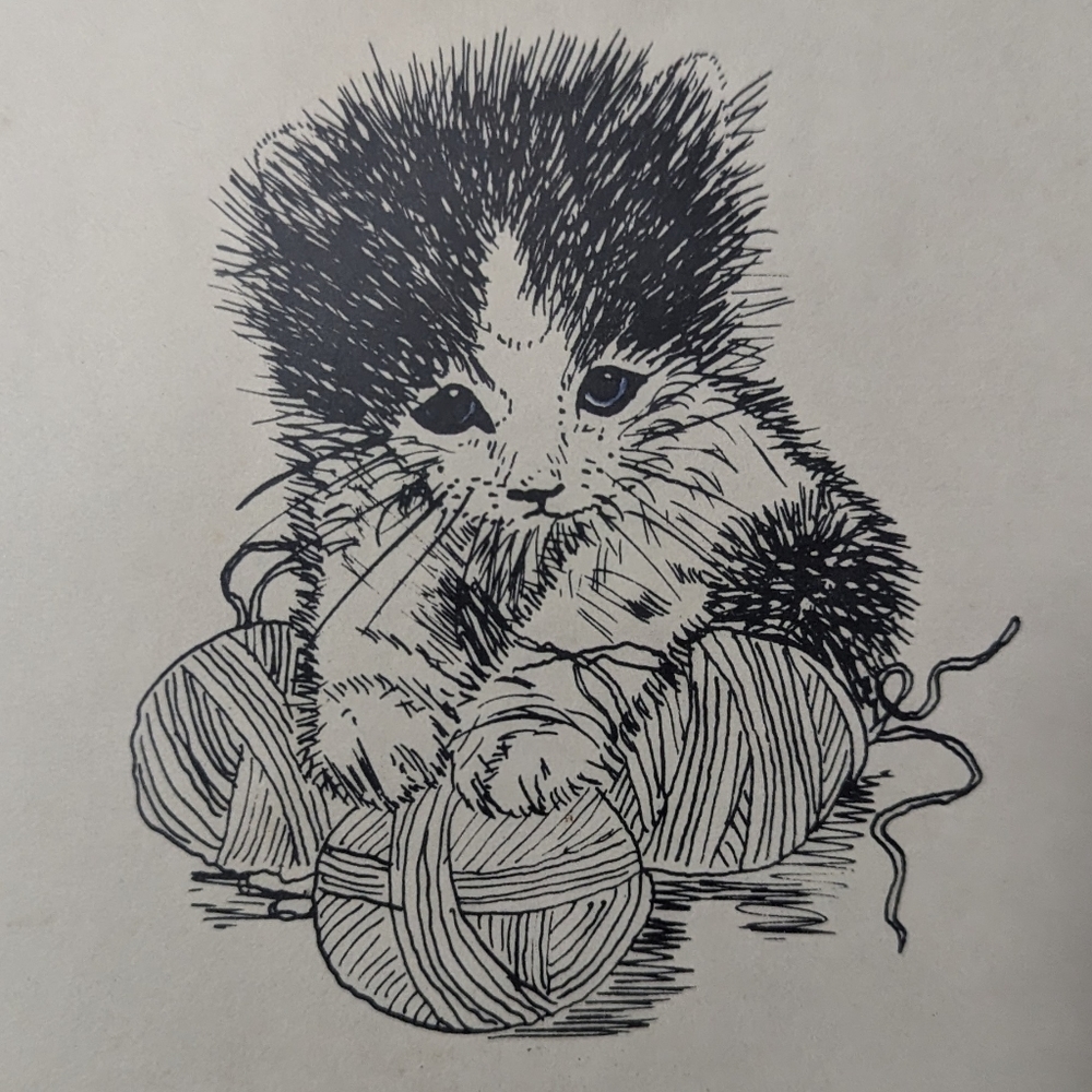 Meet your Posher, Jame